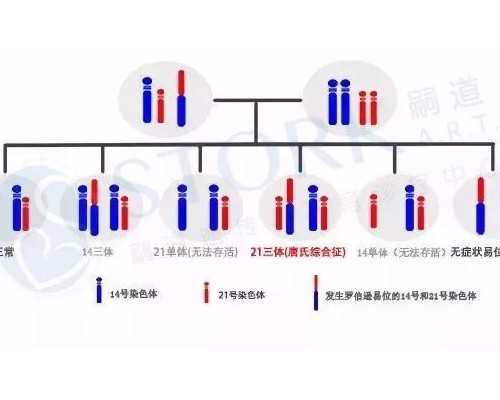 沈阳代孕专业正规-靠谱代生